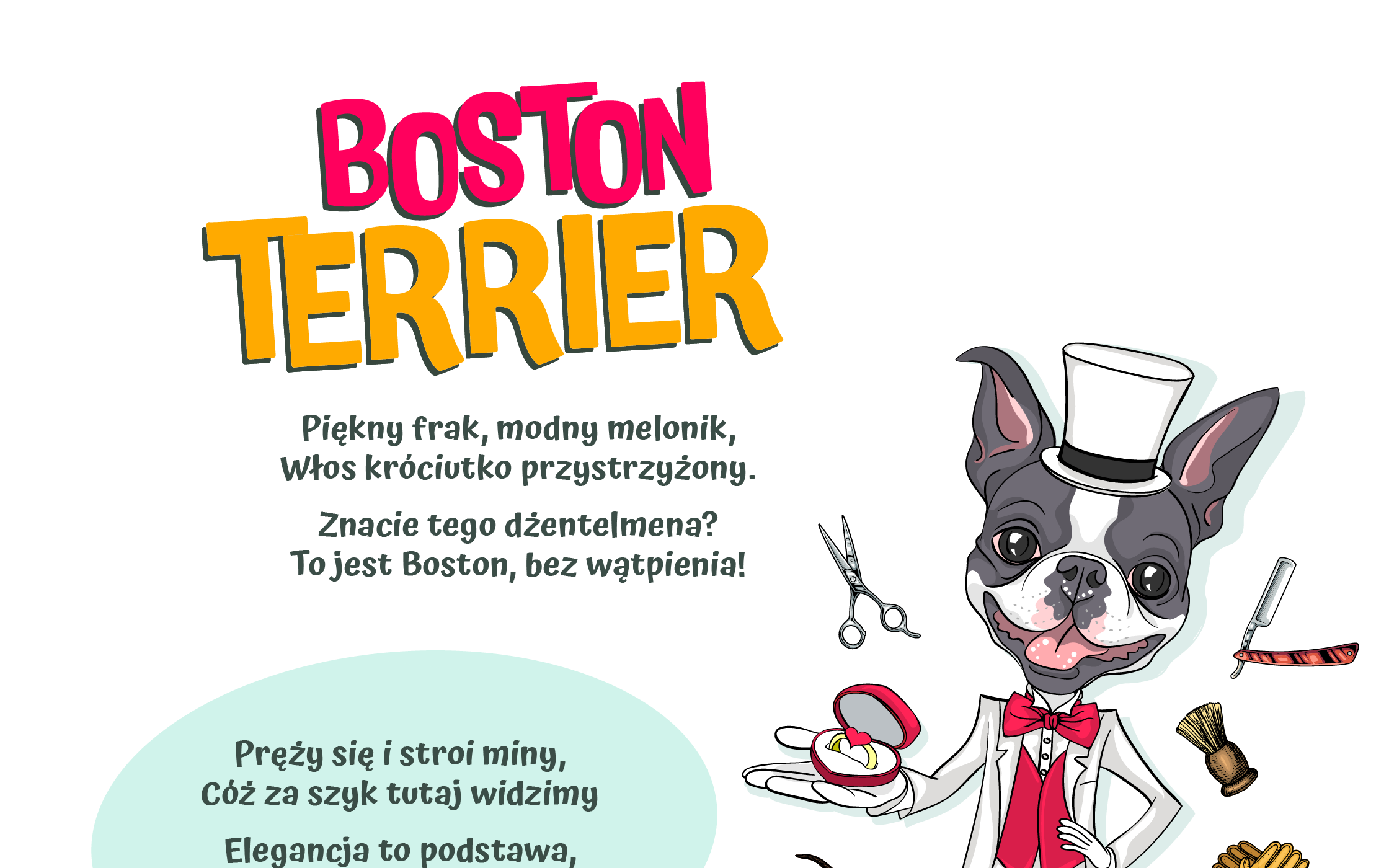 PSIAKI_Boston_Terrier_1