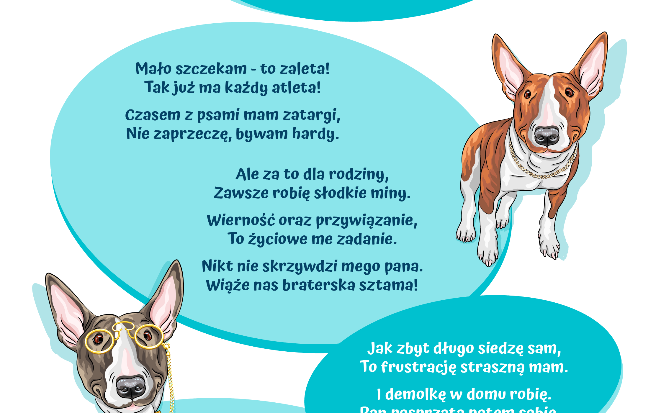 PSIAKI_Bull_Terrier_2