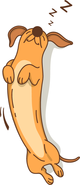 PSIAKI_Dog_1
