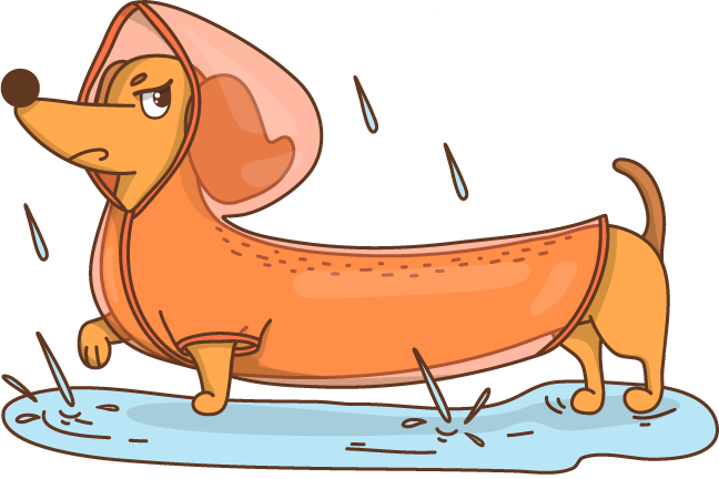 PSIAKI_Dog_4